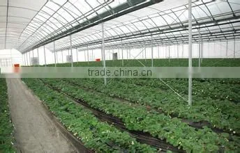 galvanized steel pipe