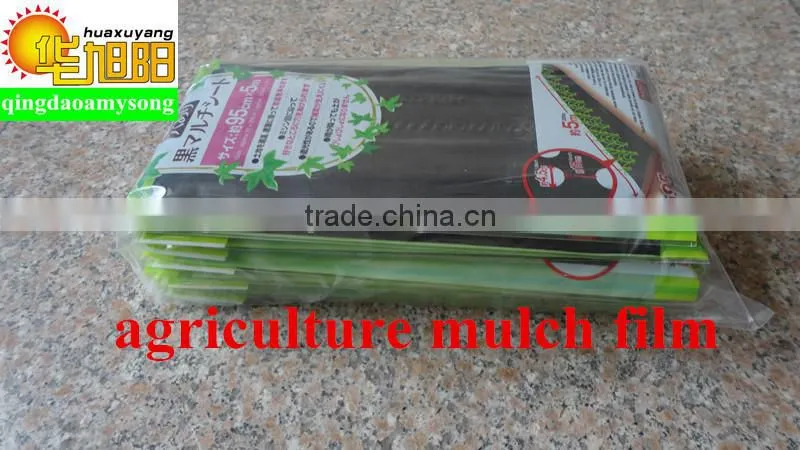 Blow molding agricultural HDPE plastic film roll factory