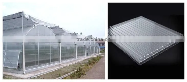UV Coating PC Sheets Type Polycarbonate Commercial Greenhouse