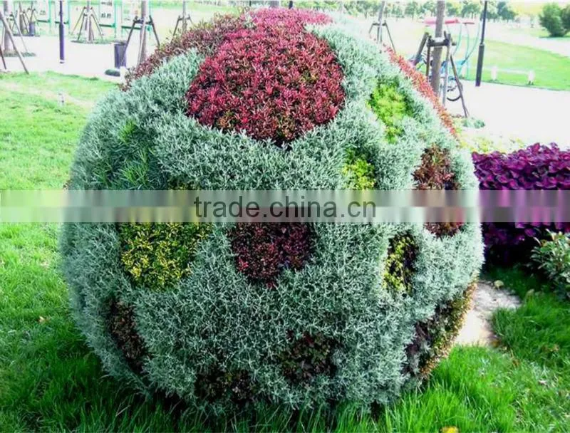 Vertical Garden Ball Planter & pots, Garden Flower Pot