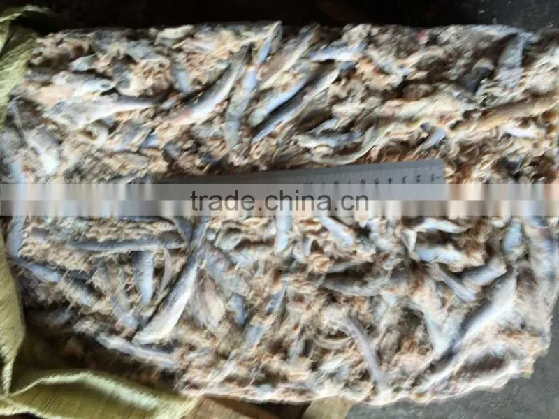Fresh frozen small anchovy