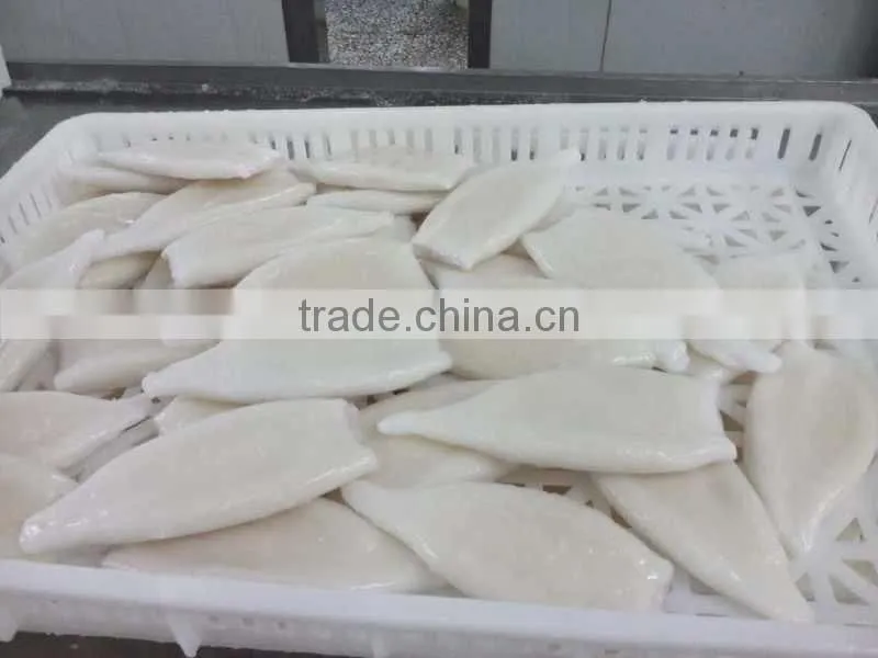 Newly Hot Selling Frozen Illex Squid Tube for sale