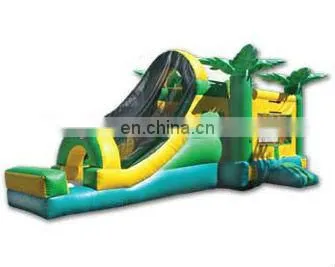 High quality double slides inflatable combo