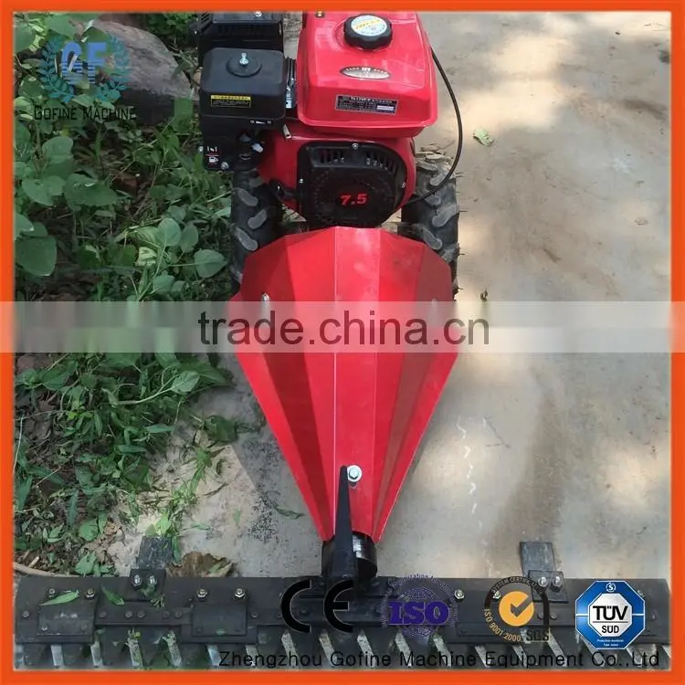 gasoline lawn mower