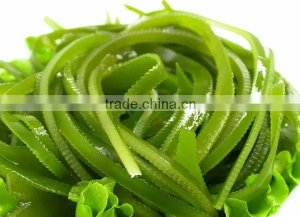 Good Soup Ingredient Roasted Kombu Seaweed