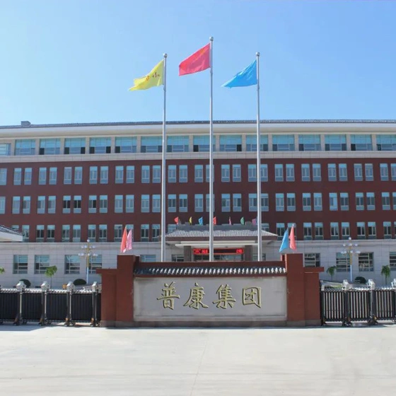 Hebei Pukang Medical Instruments Co., Ltd. company overview - view 1
