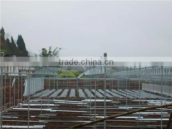 multi span polycarbonate china greenhouses