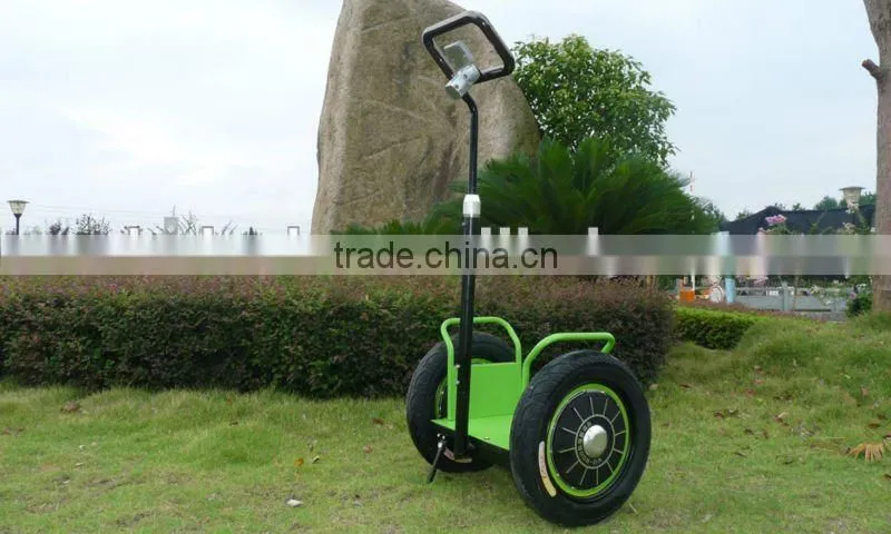 2013 new model with remote controller Zero-emission electric chariot(SKD-SG01,SKD-SG02)
