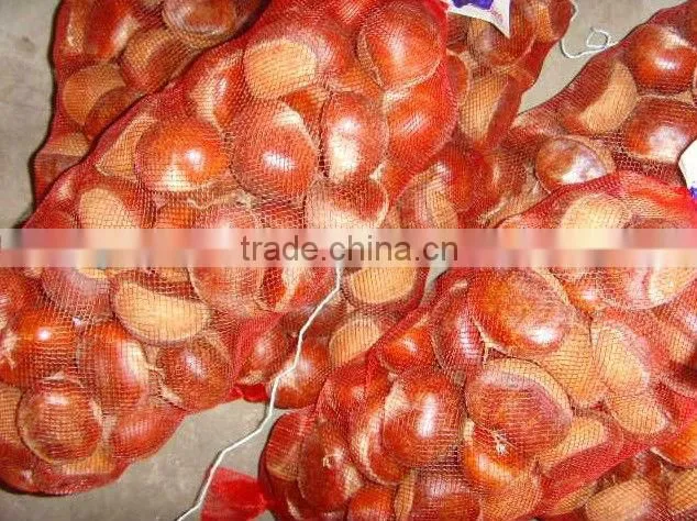 40-50 Dandong Chestnut, Lowest Price