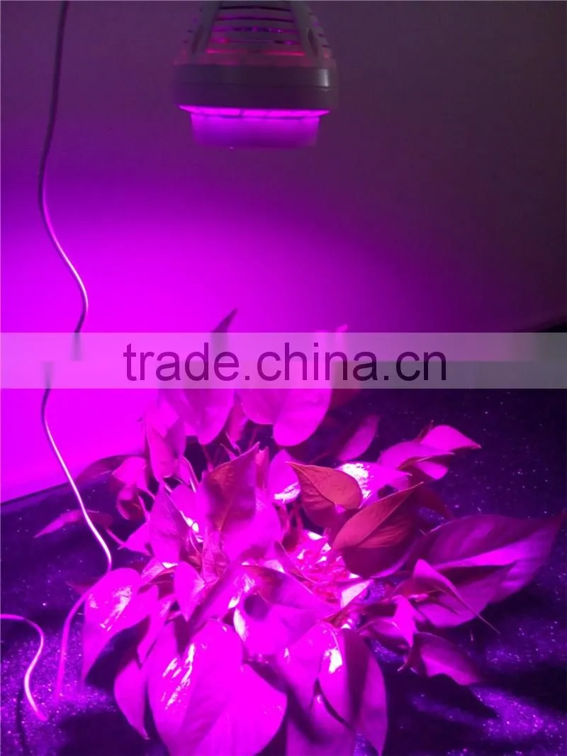 Full spectrum 20x3w COB PAR led grow light