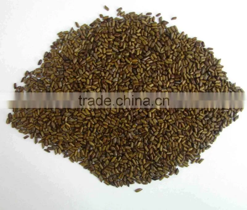 Best Jue Ming Zi in Chinese Cassia Tora Seed, Cassia Tora seeds