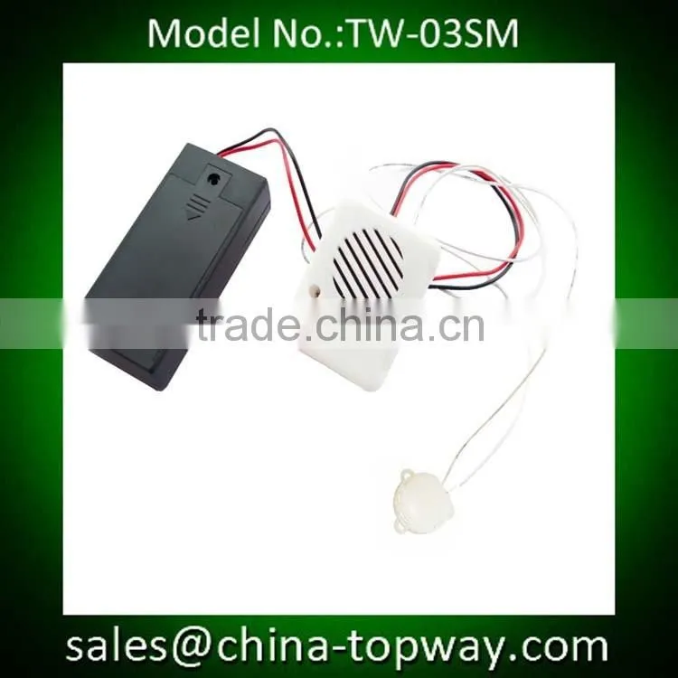 Music sound module for stuffed animals plush toys