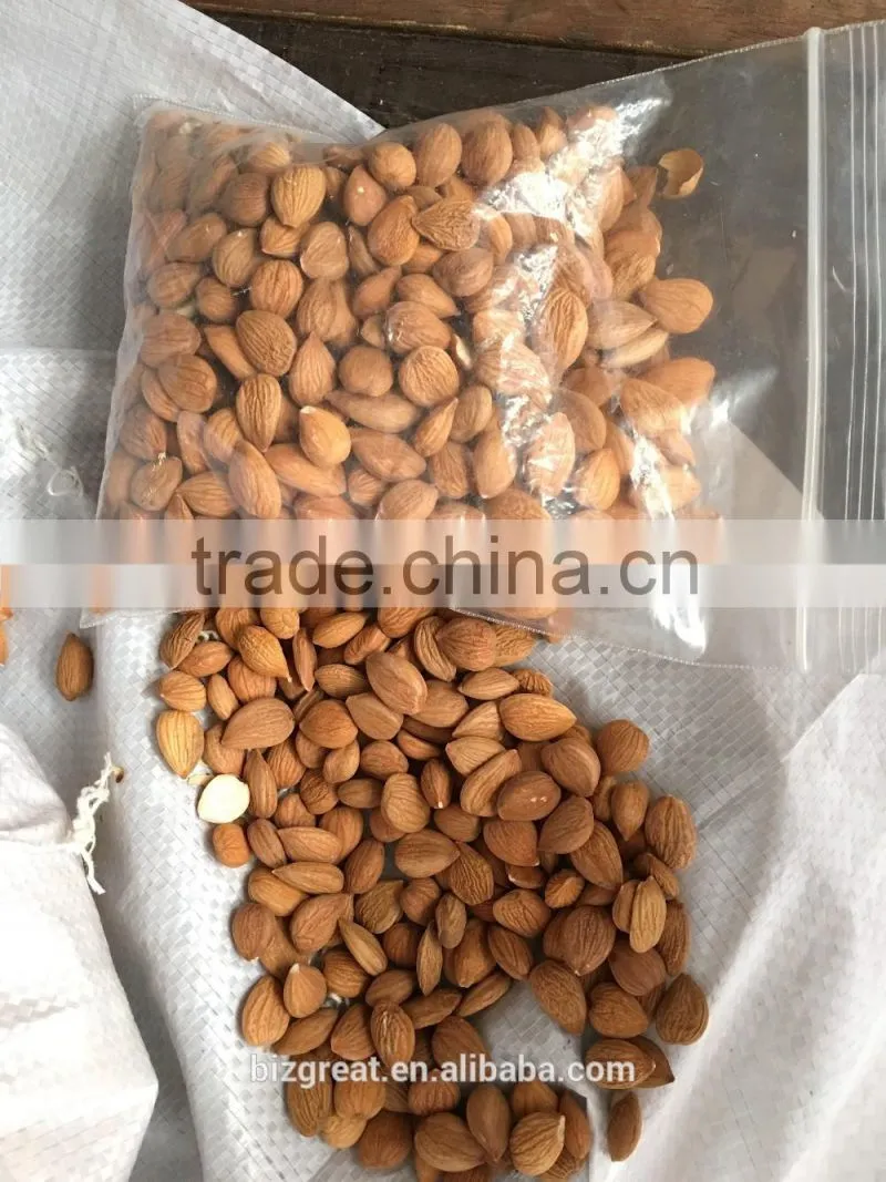 Supply with China Origin Sweet Apricot Kernels for Sales