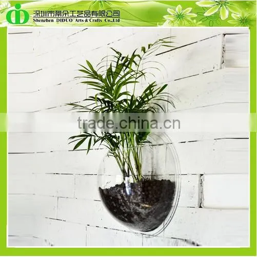 DDT-0044 Trade Assurance Cheap Aquarium Tank Fish