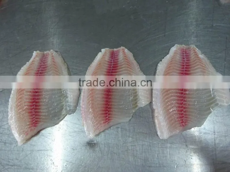 Frozen Tilapia Fillet