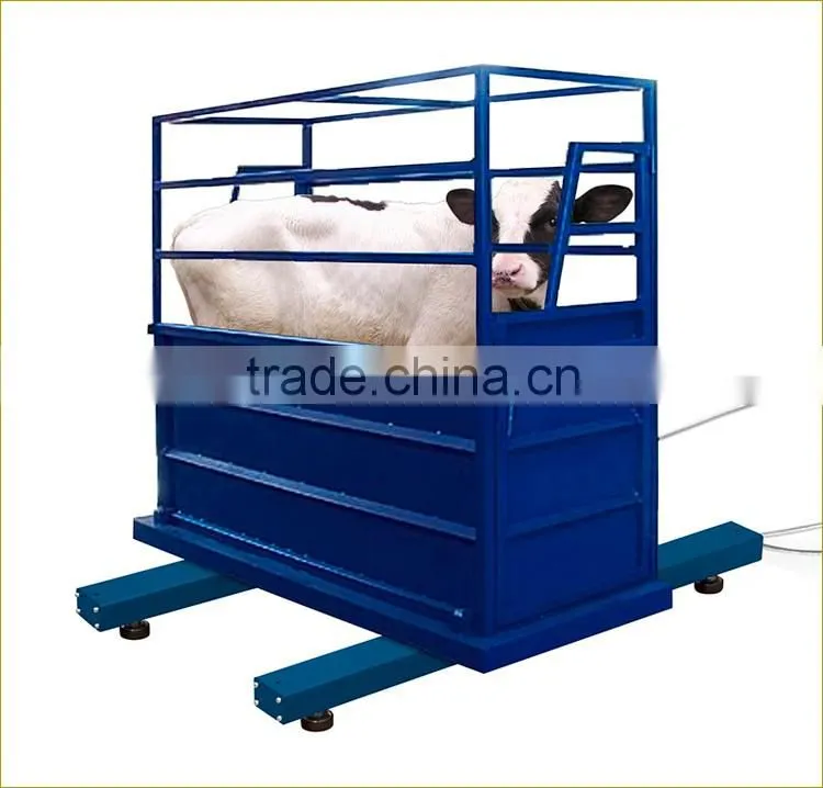 3ton / 1kg Hot Sales Zebra 8 Digital Electronic Cattle Weighing Scales