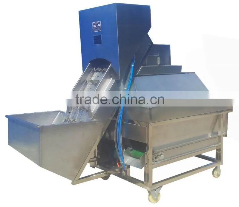 Three belts onion peeling machine/peeling onion machine/onion stripper/onion processing machine