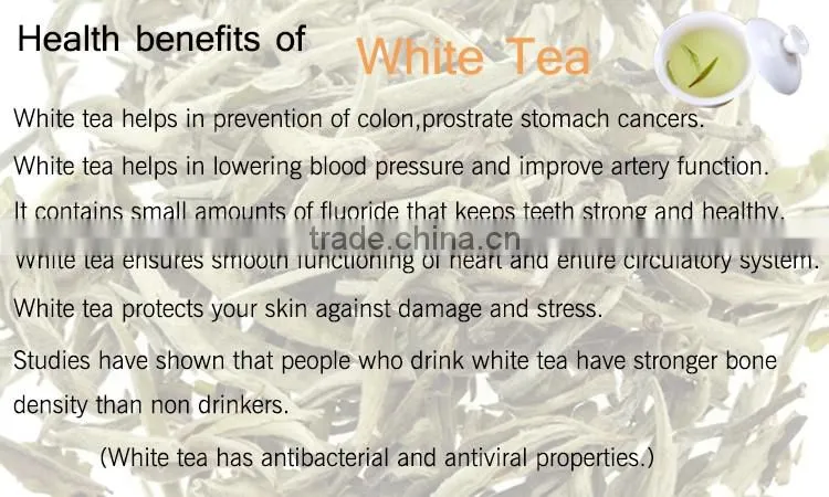 100% Natural Silver Needle White Tea Fields And Select Tea
