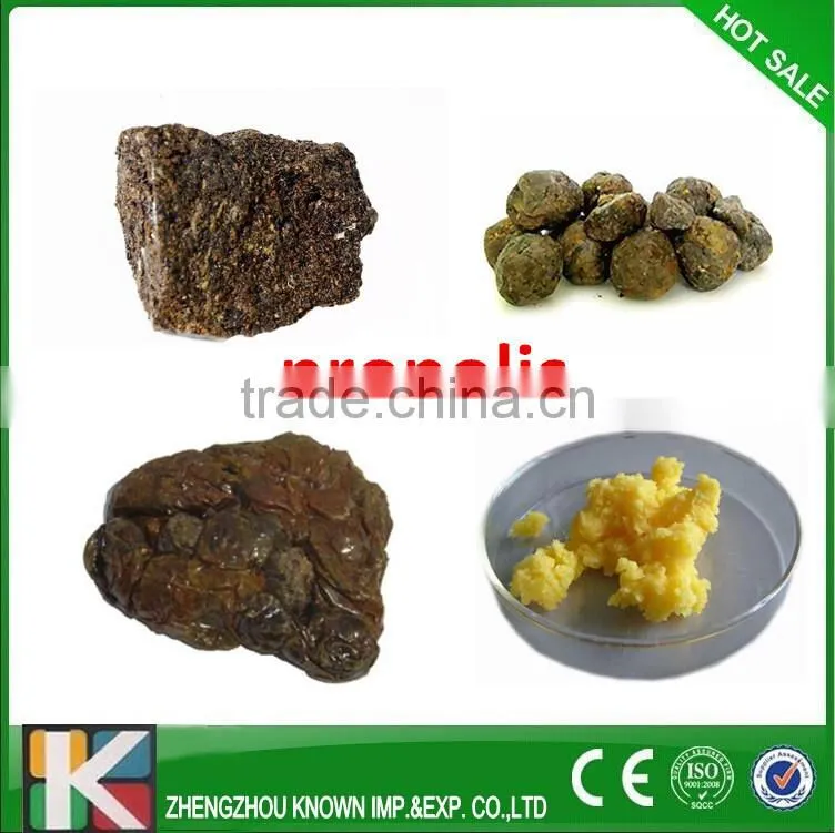 Top quality Raw Propolis Powder/Bee propolis on sale