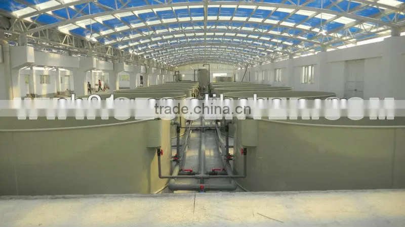 Protein skimmer for aquarium, aquaculture and fish farm