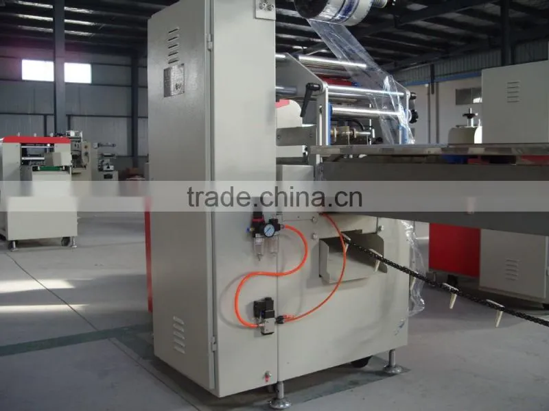 YP190-117 Servo automatic pillowed packing machine