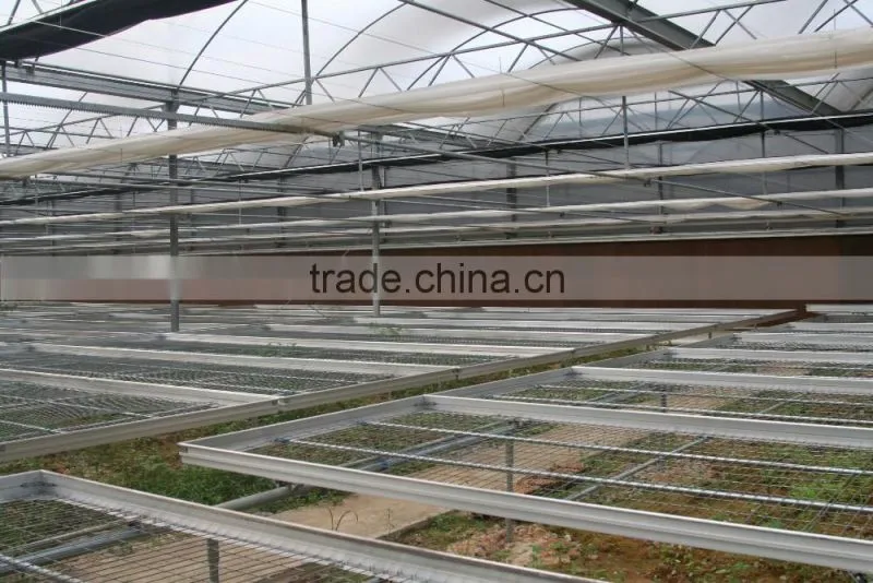 Guangdong Professional Greenhouse cooling pad manufacturer supplier