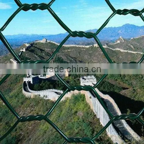 anping hexagonal wire mesh