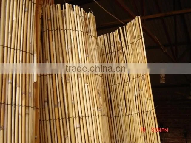 Reed fencing rolls reed fence