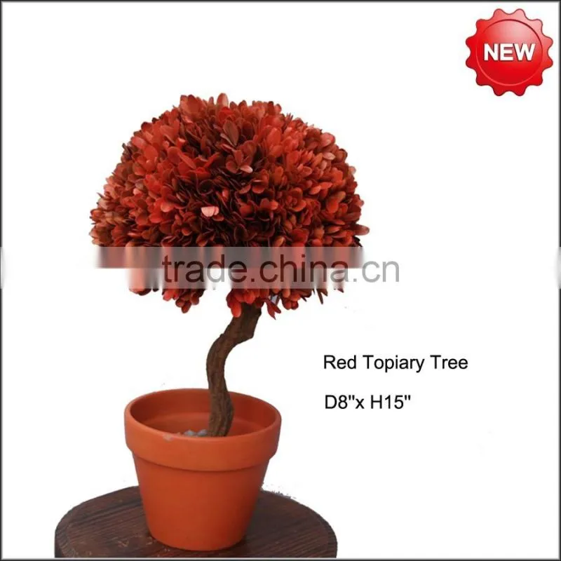 Preserved topiary red boxwood ball tree