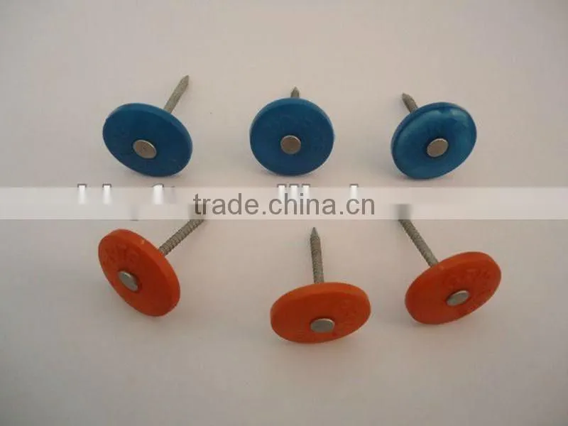 round plastic cap nail china supplier on sale