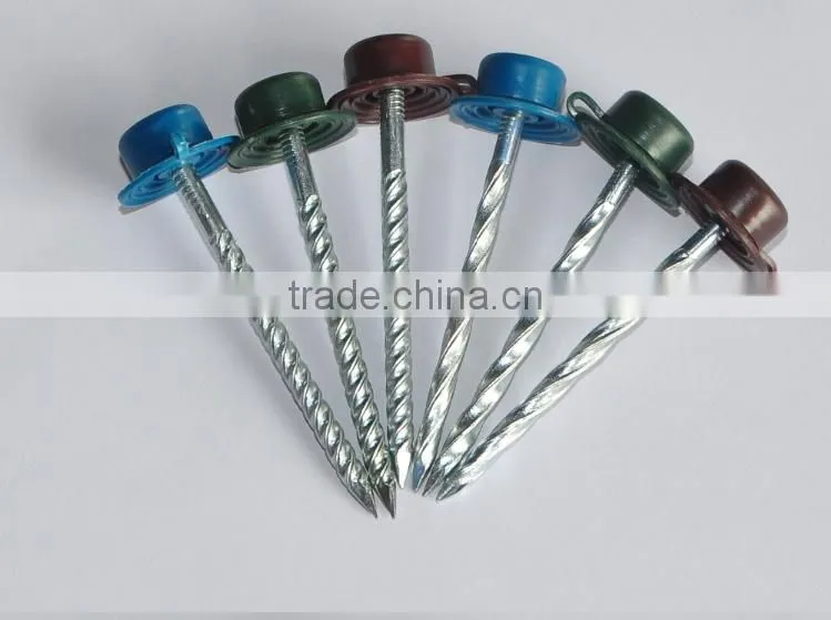 top quality galvanized twisted shank roofing nail screw nail with plastic cap
