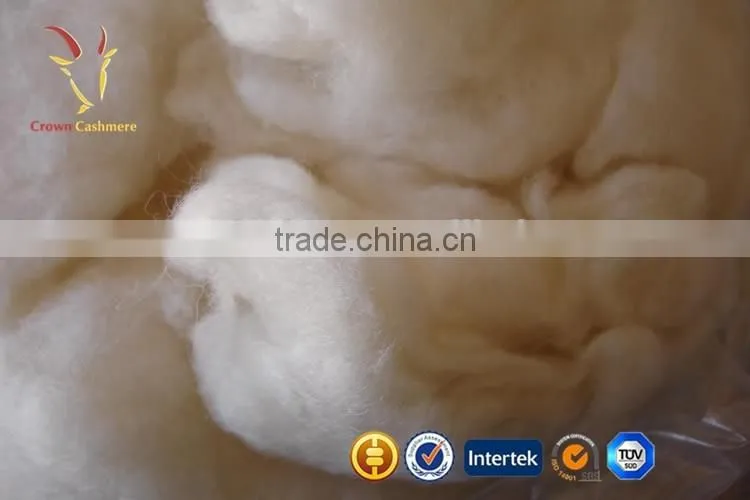 Light Grey High Quality Source of Cashmere Fibres