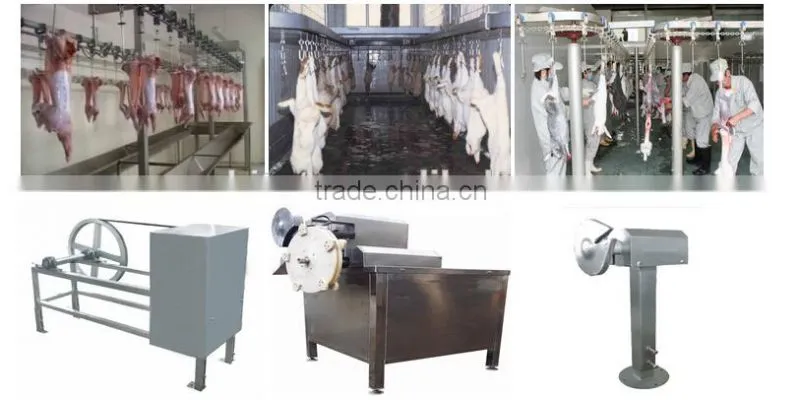 CE Approval rabbit processing plants