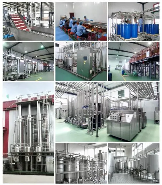 1000L Per Hour Pasteurized/UHT Milk Processing Line Plant