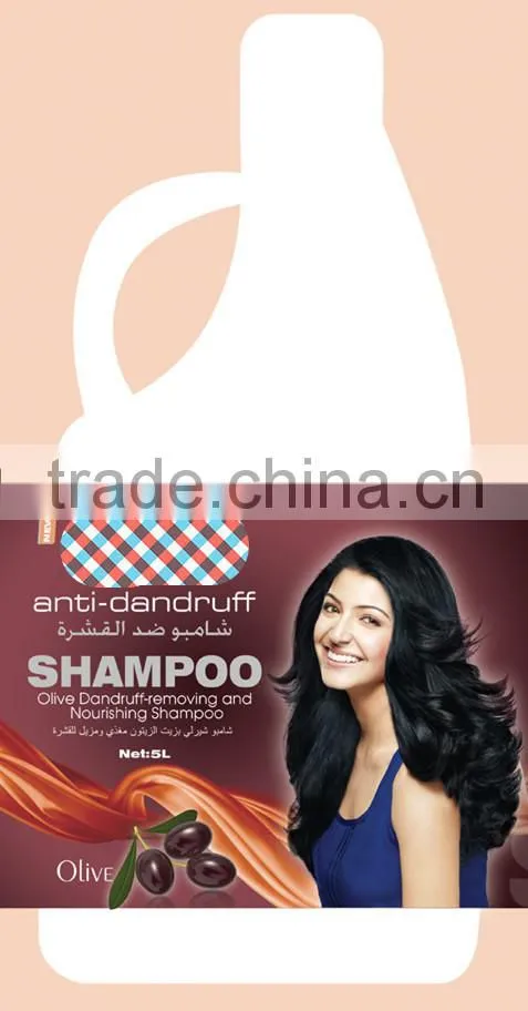 OEM Salon Hair Shampoo Series With Hair Style Products