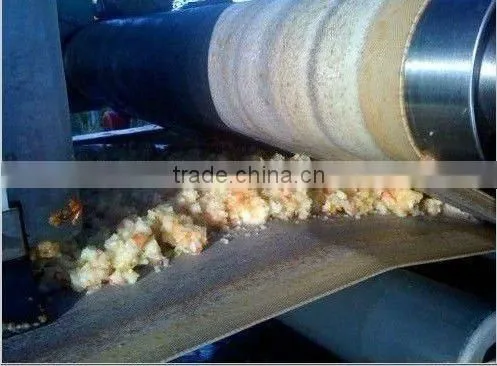 DYJ10 Model net belt juicing machine