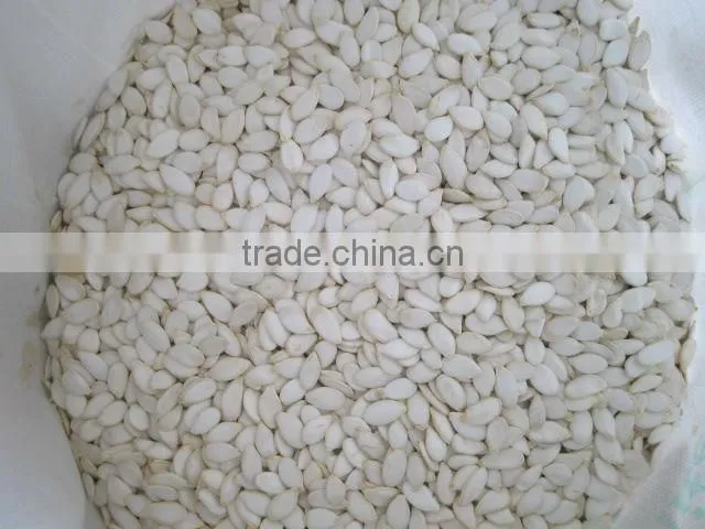 Hot Sale Shine skin PUMPKIN SEEDS