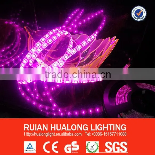 New design! IP65 Purple led strip lighting SMD5050/3528