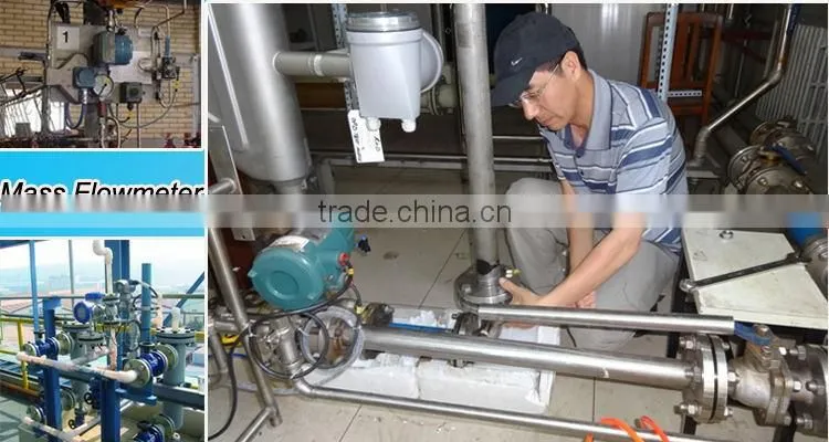 BBZ- OPTIBATCH 4011 C hygienic coriolis mass flowmeter for process batching
