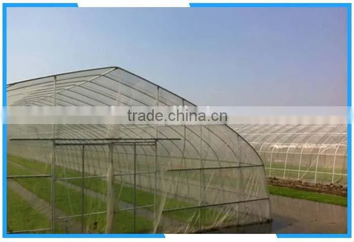 110g/m2 mesh 50anti insect net