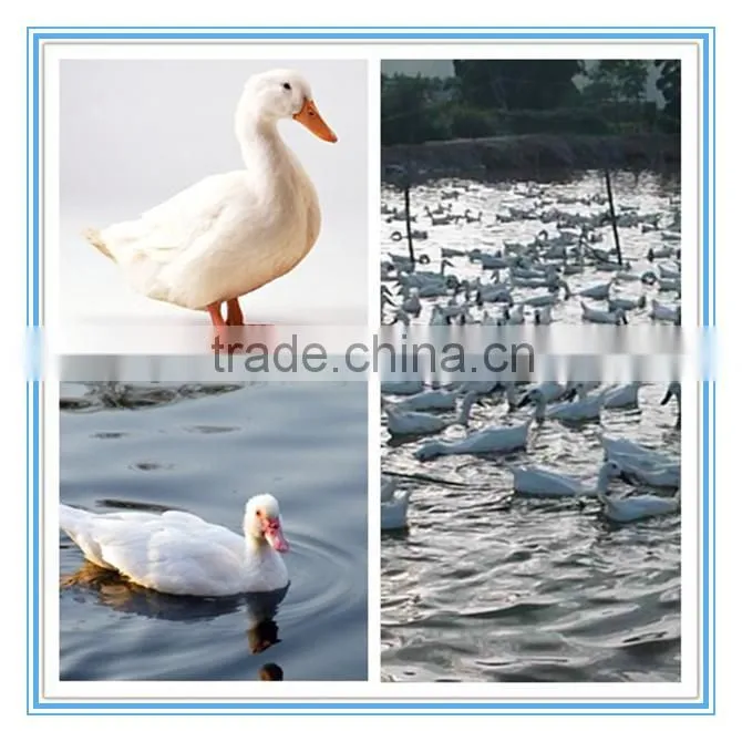 down/ duck down/goose down