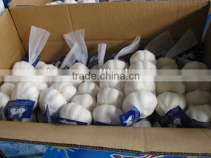 chinese new garlice price