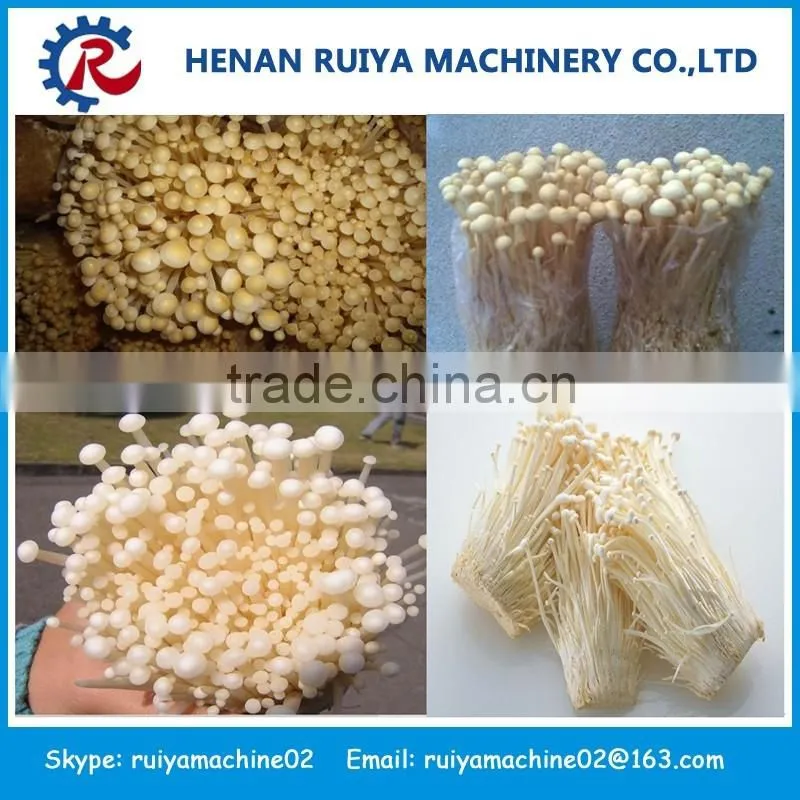 Best Seller mushroom machine | mushroom bigging machine