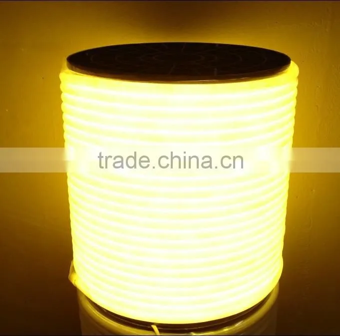 CE ROHS standard 360 degree flexible neon tube