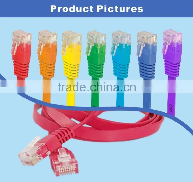 SFTP 3m lan cable labels CAT5E
