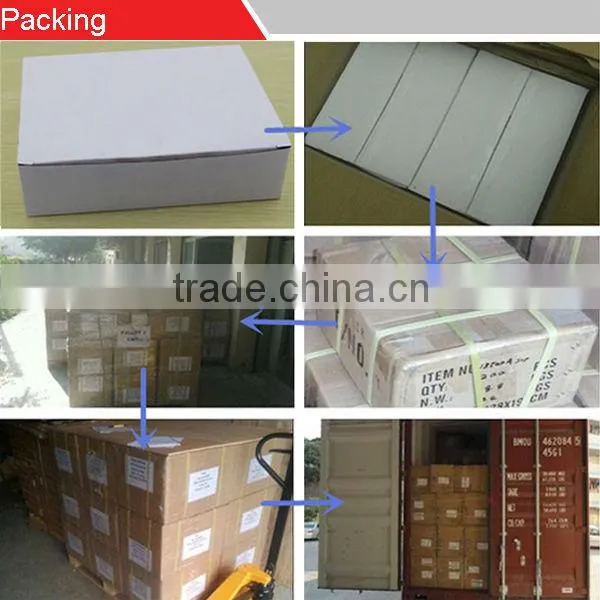 High quality stainless steel dust proof strike