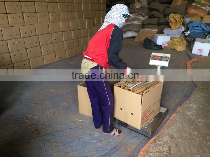 Vietnam Cassia Split best quality with fasten loading & attractive price in 2017