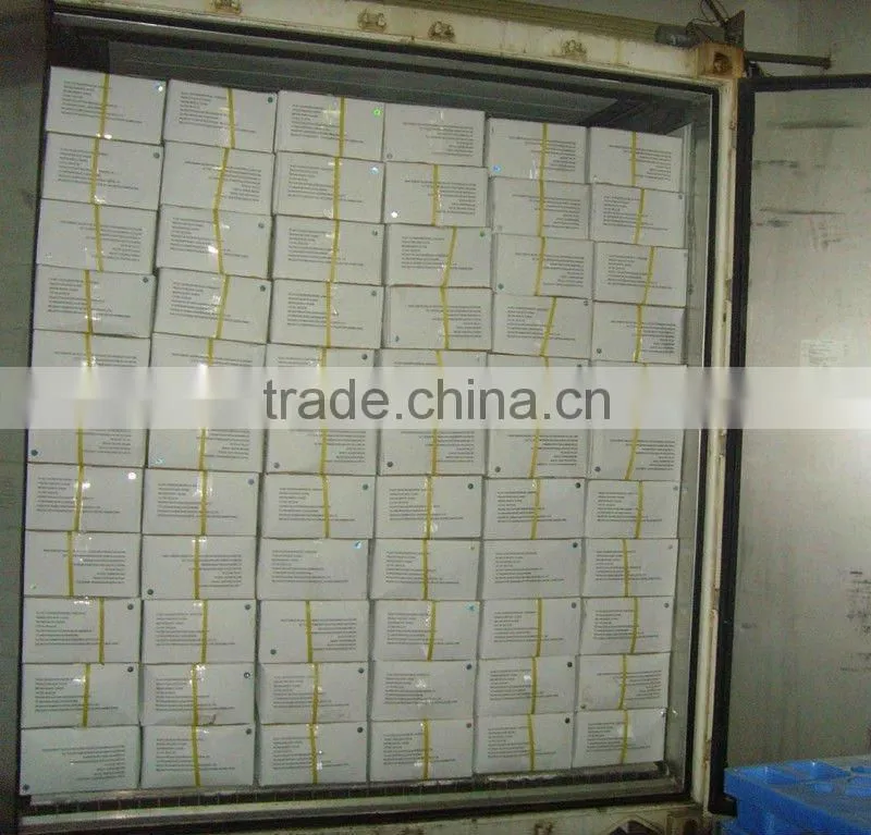 Gutted scaled whole tilapia for whole sale China origin