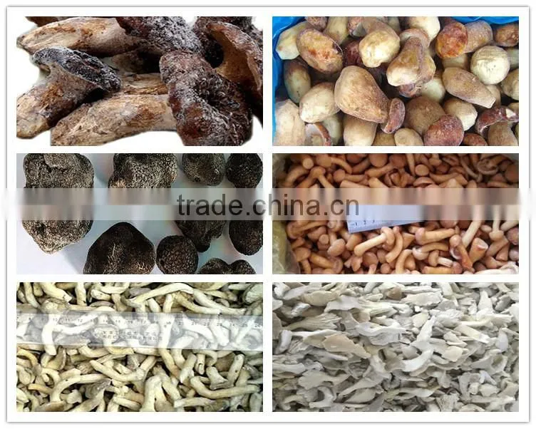 Chinese Black Truffle price