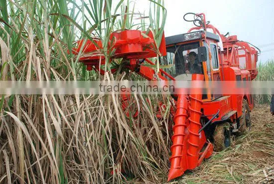 Whole stalk sugarcane combine harvester